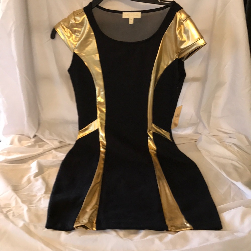 Nicki Minaj Guilded Baroque Sophia Dress
